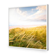 Waving Dunes