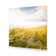 Waving Dunes