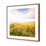 Waving Dunes