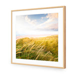 Waving Dunes