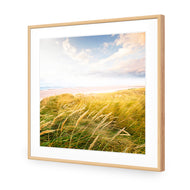Waving Dunes