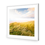 Waving Dunes