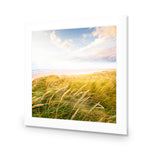 Waving Dunes