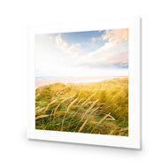 Waving Dunes