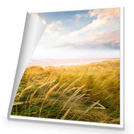 Waving Dunes