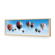 Hot Air Balloons