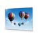 Hot Air Balloons