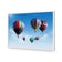 Hot Air Balloons