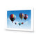 Hot Air Balloons