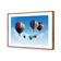 Hot Air Balloons