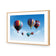 Hot Air Balloons