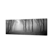 Mysterious Trees B&W