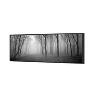 Mysterious Trees B&W