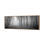 Mysterious Trees B&W