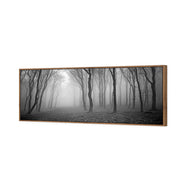 Mysterious Trees B&W