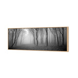 Mysterious Trees B&W