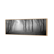 Mysterious Trees B&W