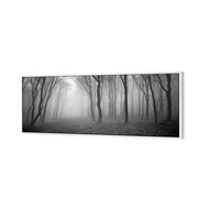Mysterious Trees B&W