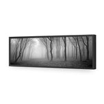 Mysterious Trees B&W