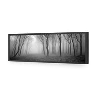 Mysterious Trees B&W