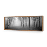 Mysterious Trees B&W