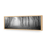 Mysterious Trees B&W