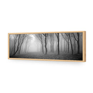 Mysterious Trees B&W