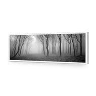 Mysterious Trees B&W