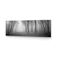 Mysterious Trees B&W