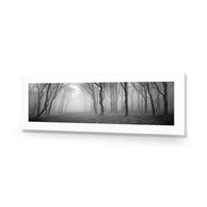 Mysterious Trees B&W