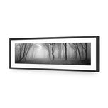 Mysterious Trees B&W