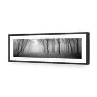 Mysterious Trees B&W