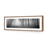 Mysterious Trees B&W