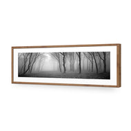 Mysterious Trees B&W