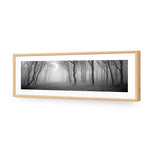 Mysterious Trees B&W