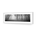 Mysterious Trees B&W