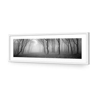 Mysterious Trees B&W