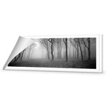 Mysterious Trees B&W