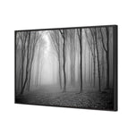Mysterious Trees B&W