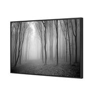 Mysterious Trees B&W