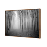 Mysterious Trees B&W