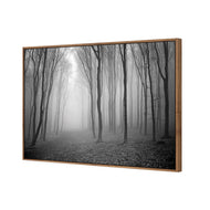 Mysterious Trees B&W