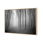 Mysterious Trees B&W