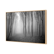 Mysterious Trees B&W