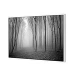 Mysterious Trees B&W
