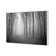 Mysterious Trees B&W