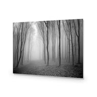 Mysterious Trees B&W
