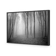 Mysterious Trees B&W