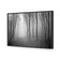 Mysterious Trees B&W