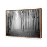 Mysterious Trees B&W